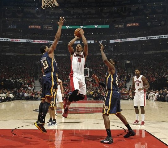 松的独特魅 松的独特魅