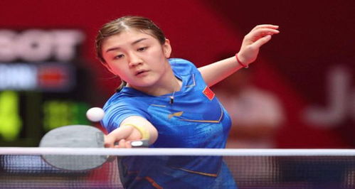 德约科维奇 德约科维奇